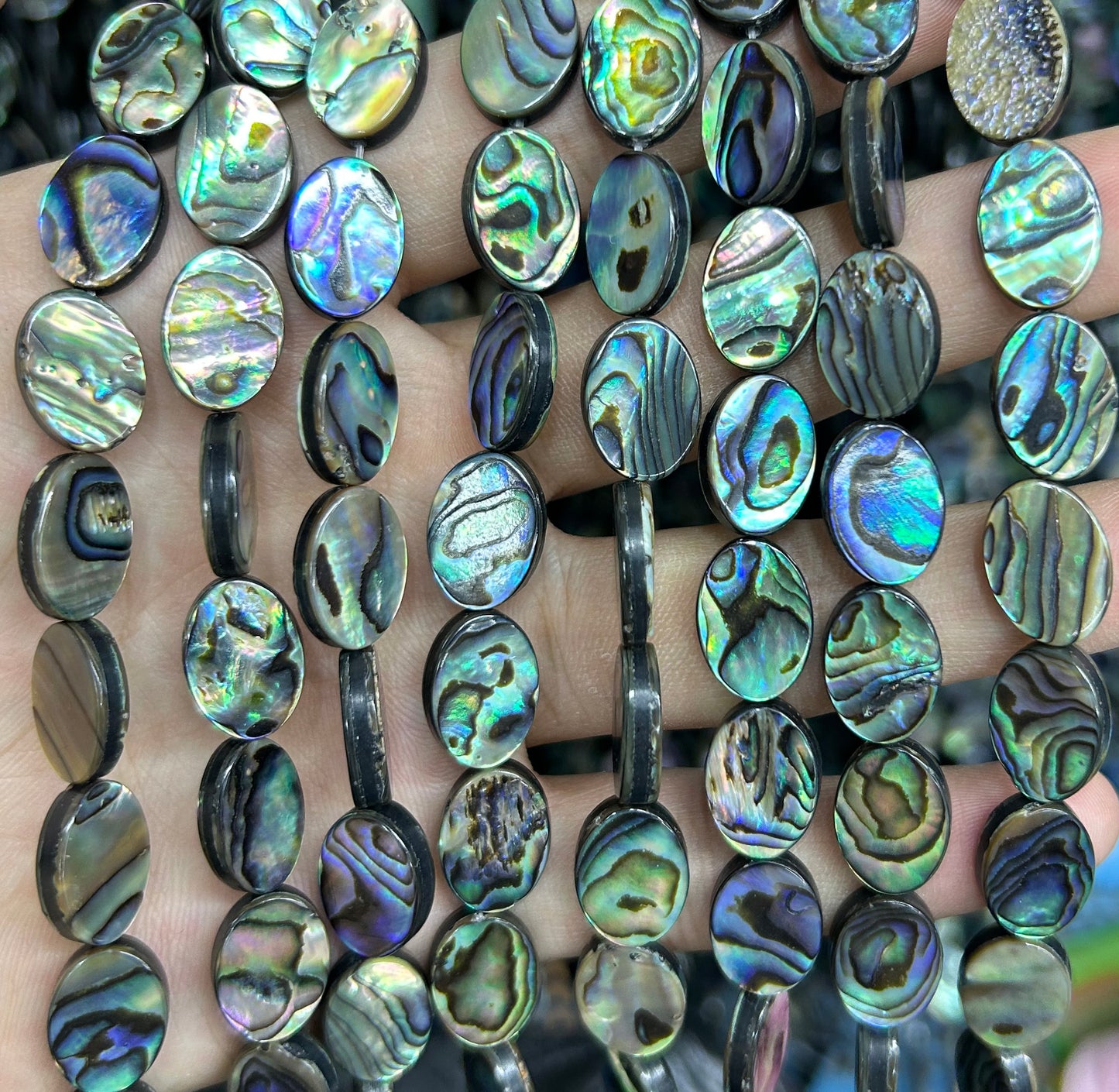 Abalone Shell Beads Flat Oval Beads 12mm 14mm 16mm 18mm 15''